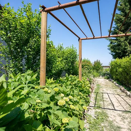 Apartmán Il Cortile By Interhome Camerano Casasco